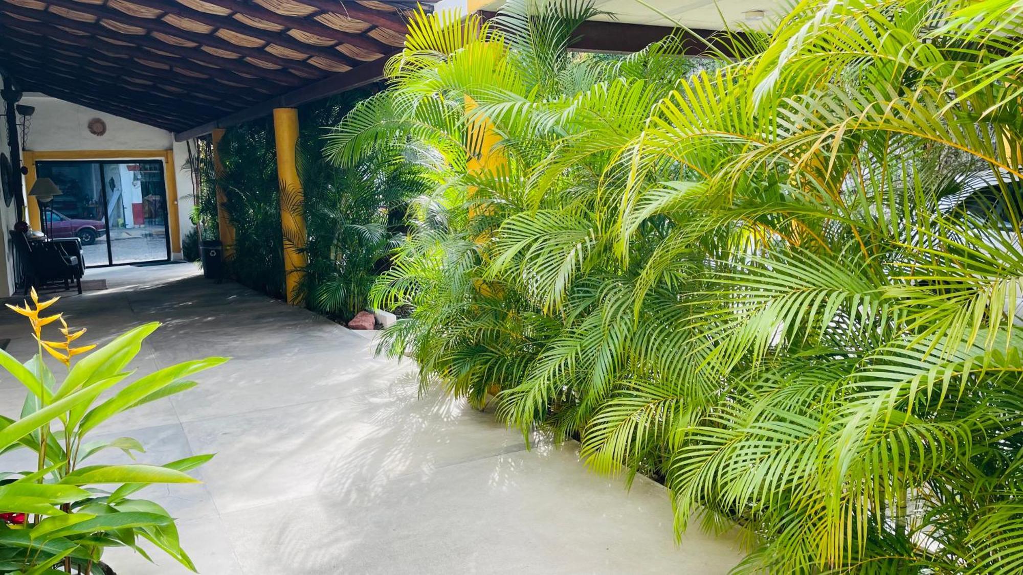 Hotel Boutique Ixaya Puerto Vallarta Dış mekan fotoğraf